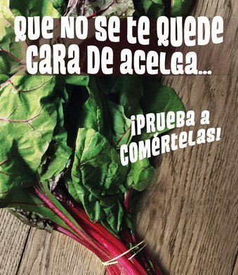 acelgas-web