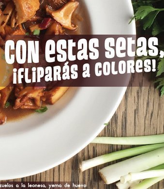 setas-mercado